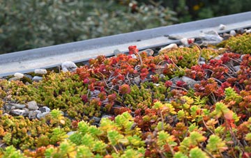the cost of Wigmore green roof installation
