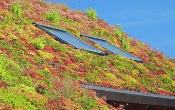 Wigmore living roof systems