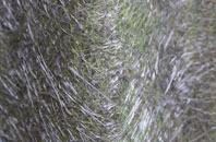 Wigmore fibreglass roof work